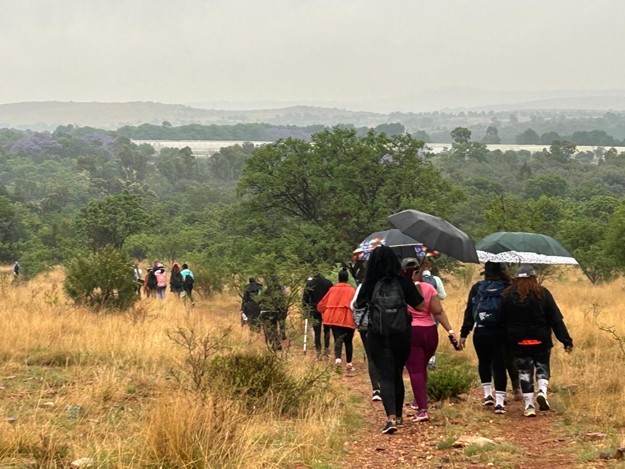 edd64448 798d 4cbe 84dc 208636caf297